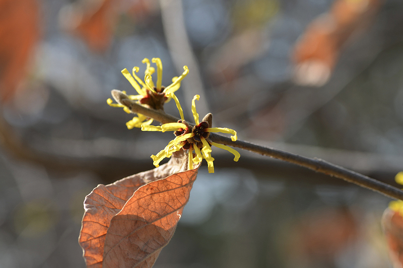 image0313