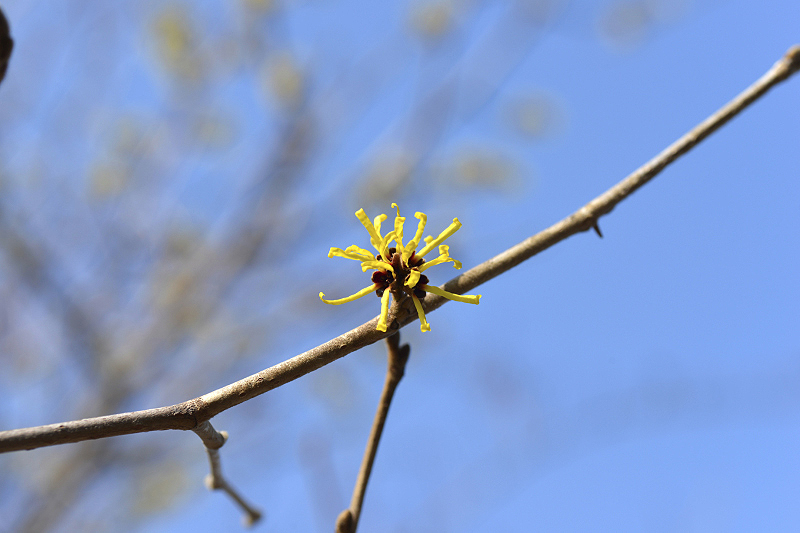 image0314