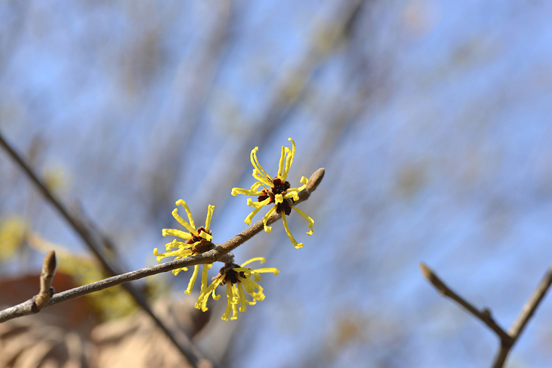 image0315