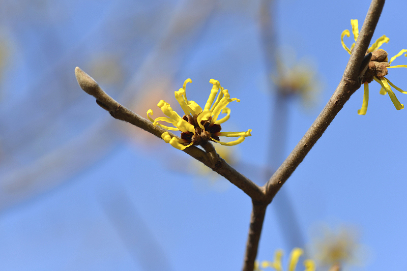 image0317
