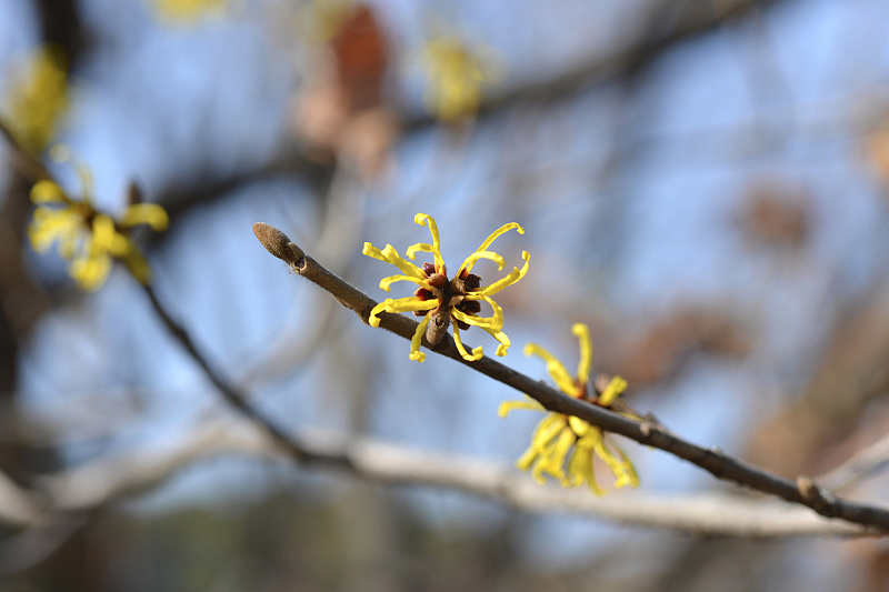 image0318