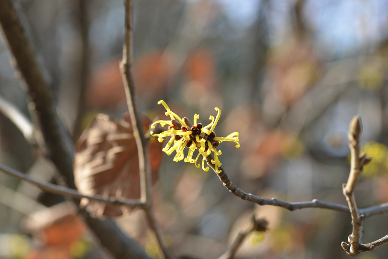 image0319