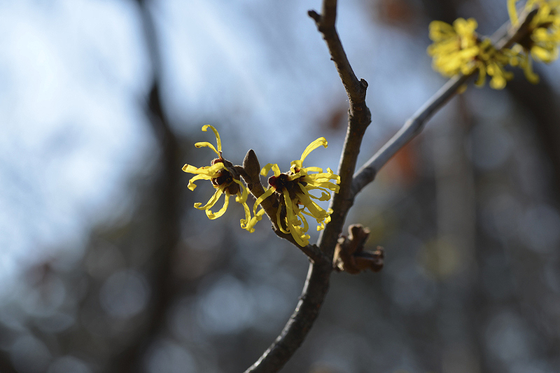 image0320