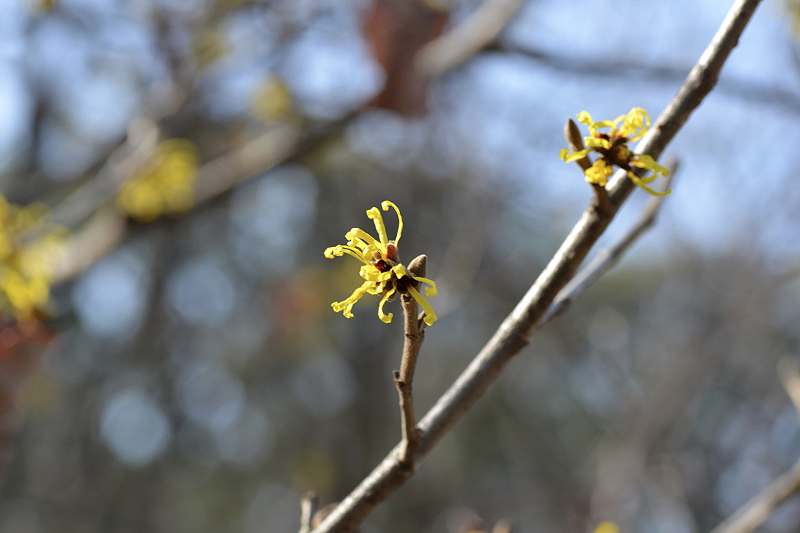 image0321