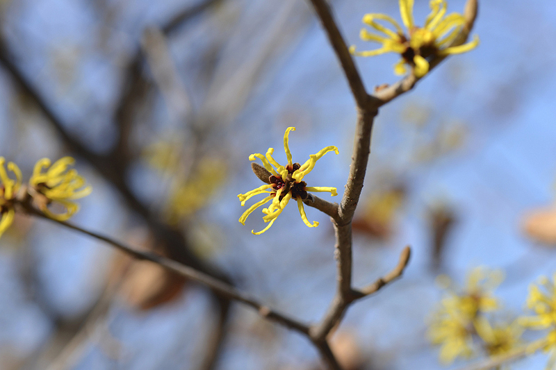image0322