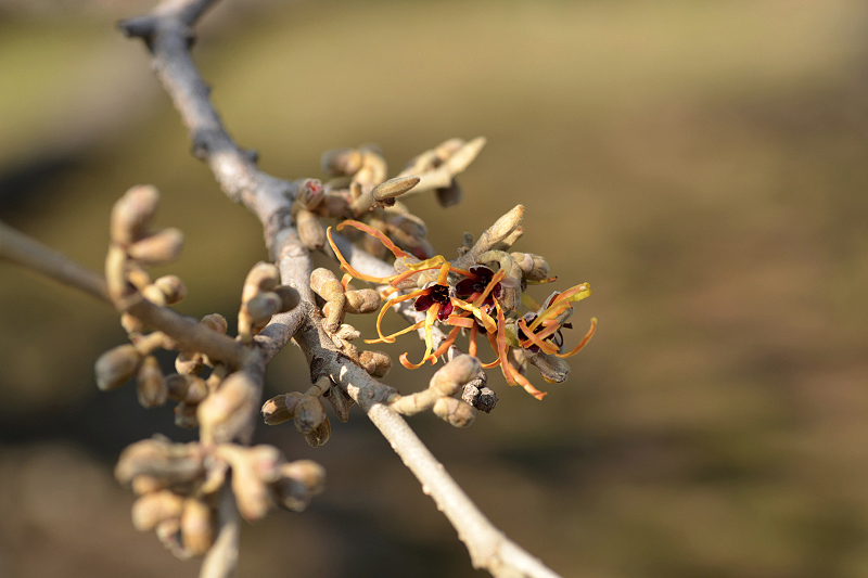 image0323