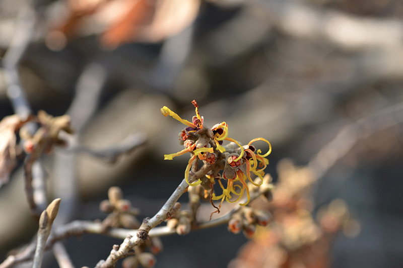 image0325
