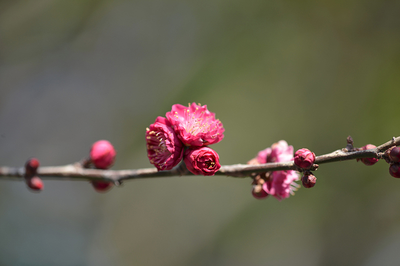 image0329
