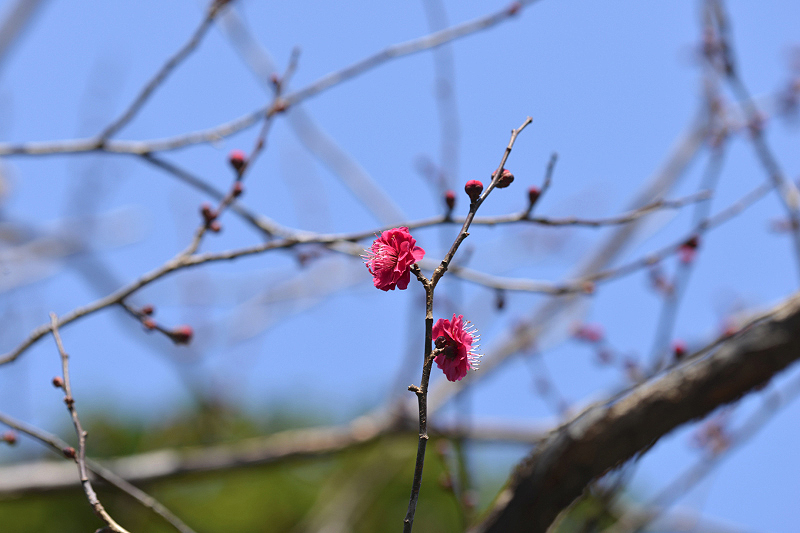 image0330
