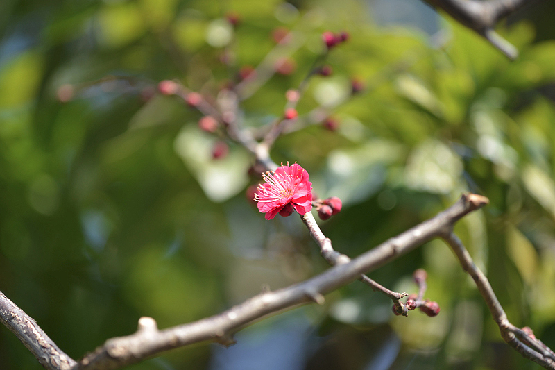 image0333