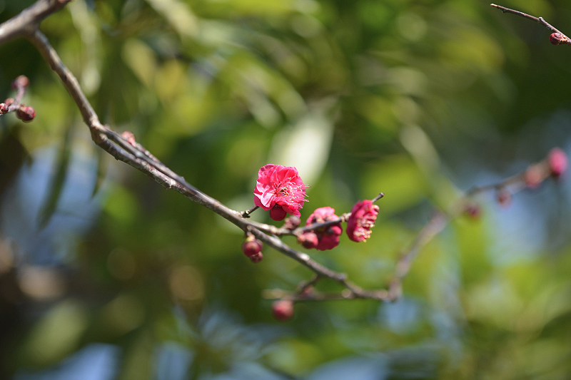 image0334