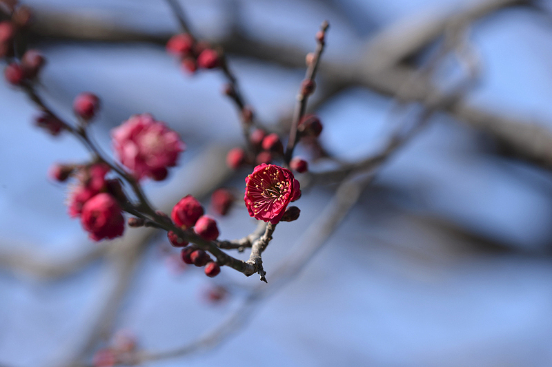 image0336