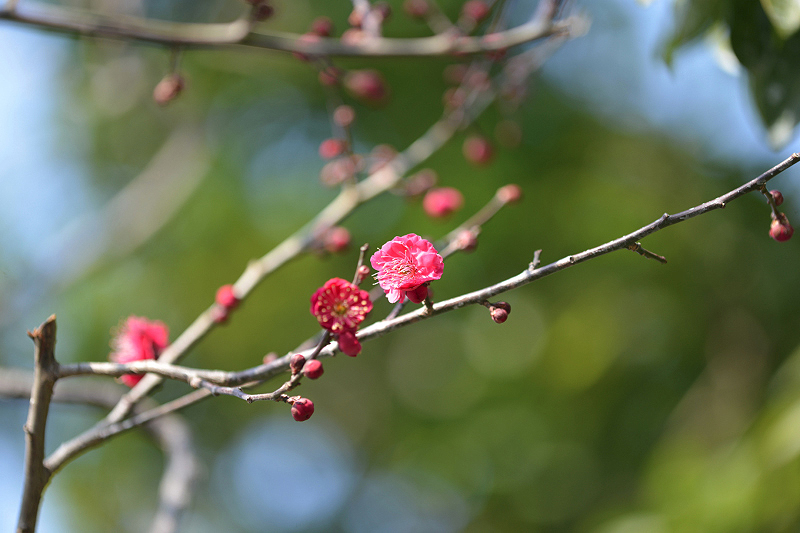 image0338
