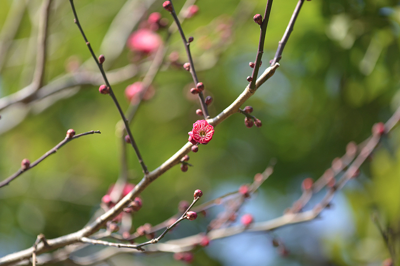 image0339
