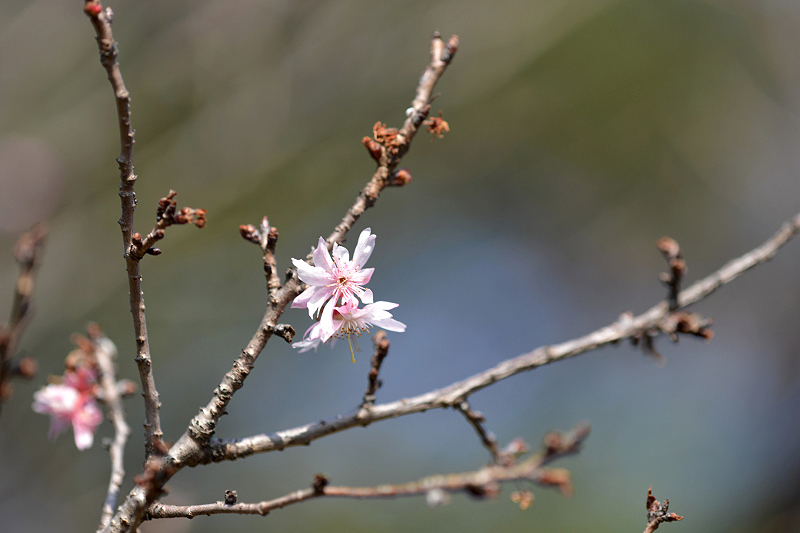 image0340