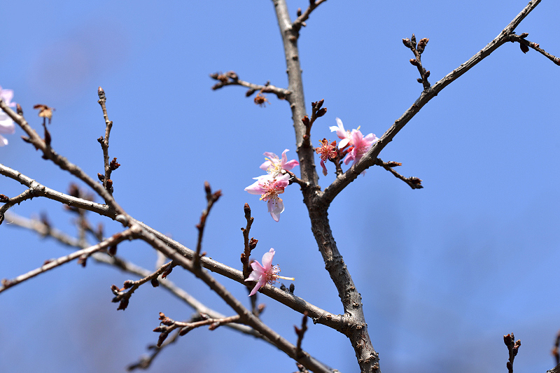 image0341