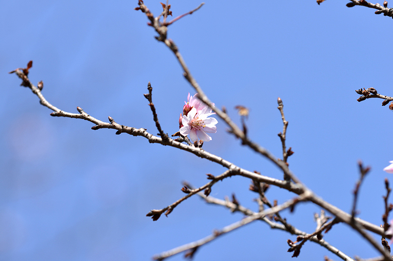 image0342