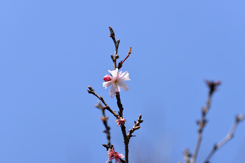image0344