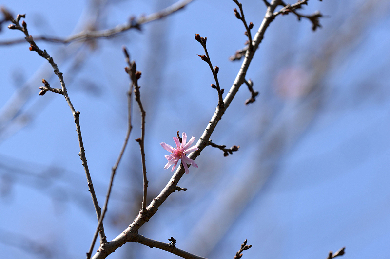 image0345