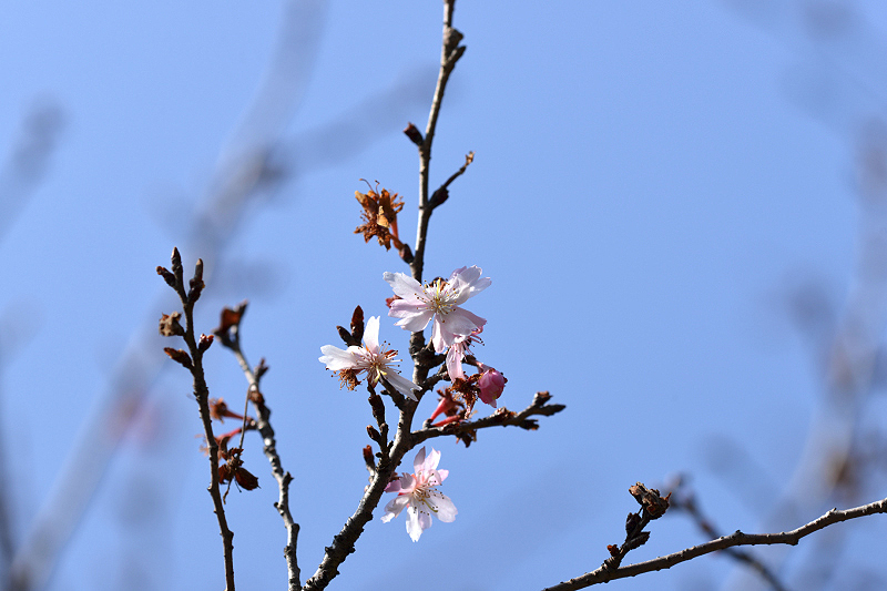 image0346