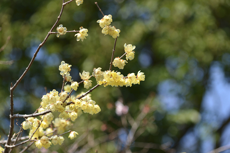image0347
