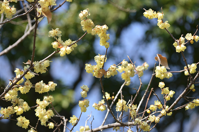 image0348