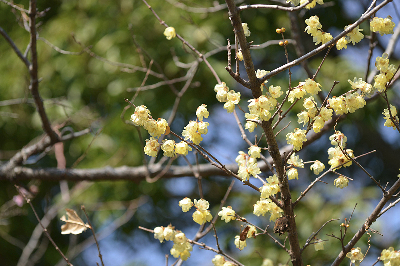 image0349