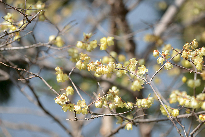 image0350