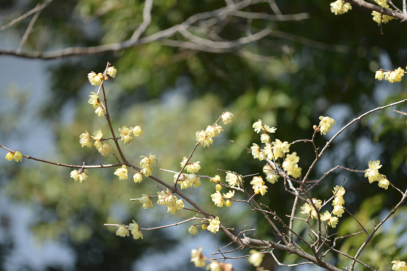 image0351