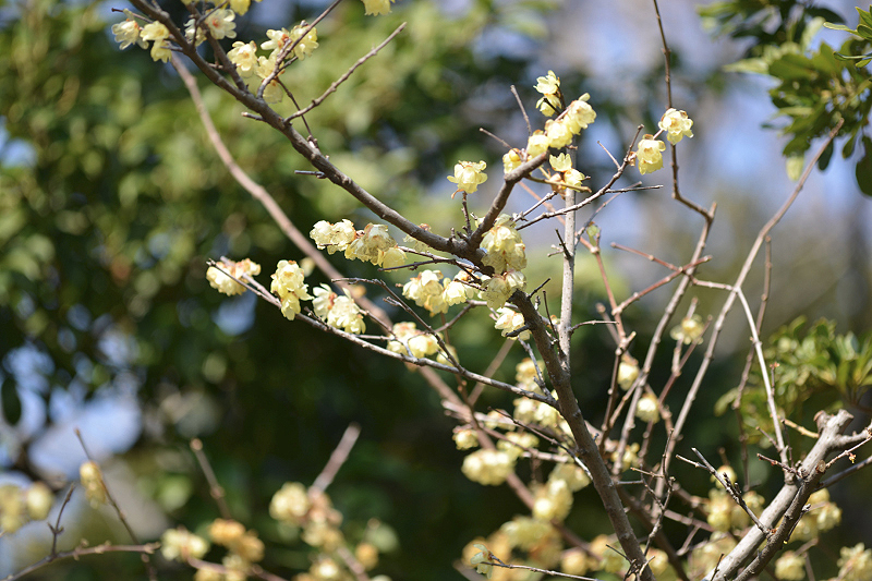 image0352