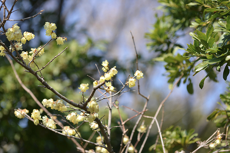 image0353