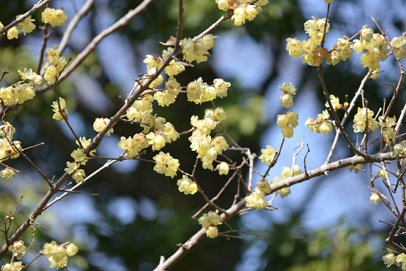 image0355