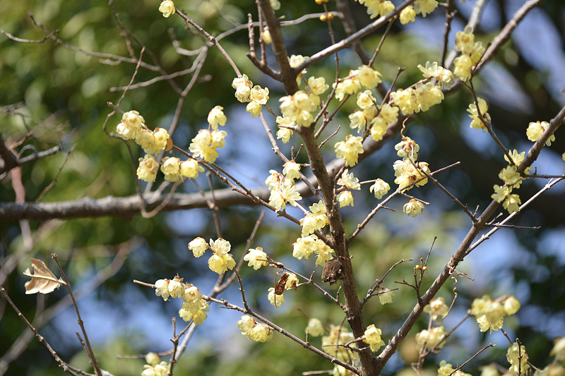 image0356