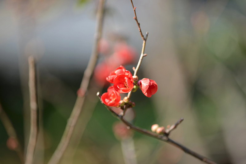 image0357