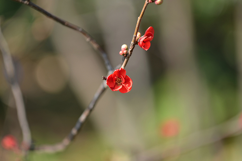 image0358