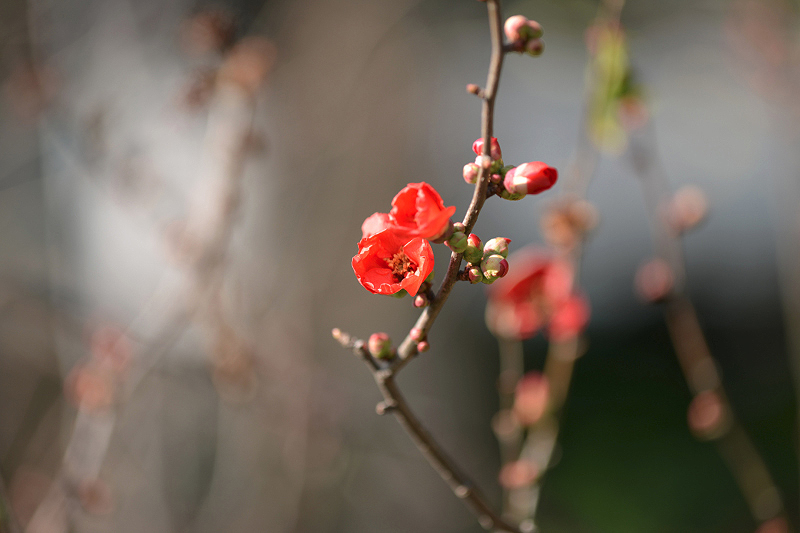 image0359