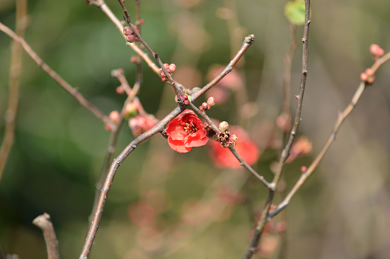 image0360