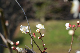 image0160