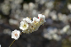 image0168