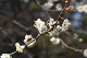 image0172