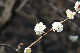 image0173