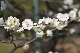 image0178