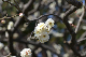 image0182