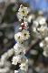 image0184