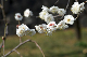 image0186