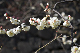 image0187