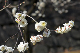 image0188