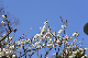 image0191