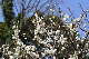 image0193