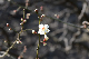 image0195